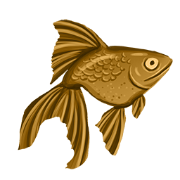 Cooked Seaglass Darter