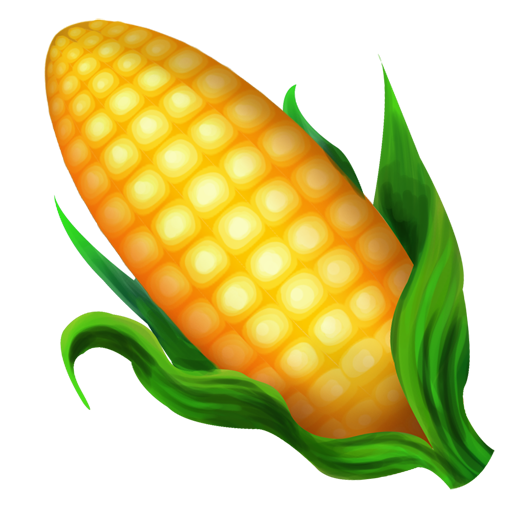 Corn