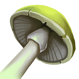 Boglight Shroom